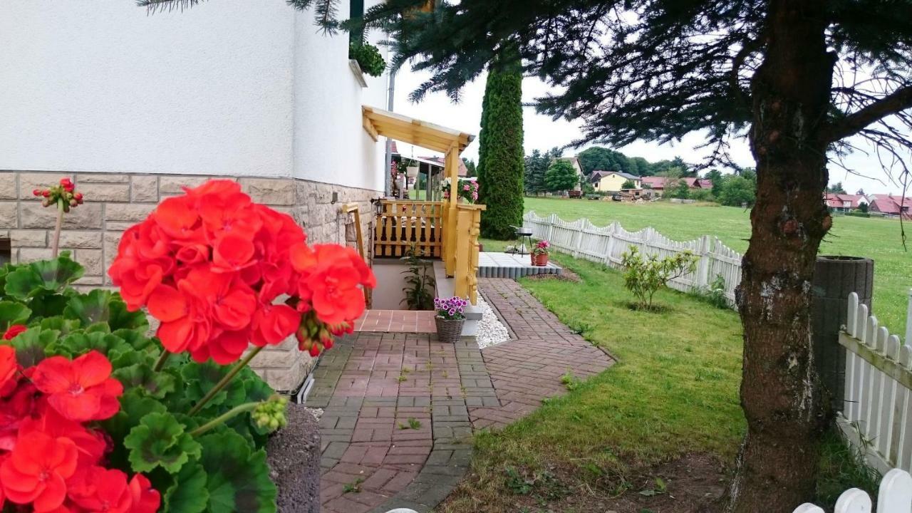 Brockenblick Allrode